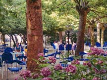 Foto del giardino interno riservato agli ospiti