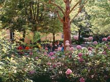 Fiori e ortensie nel giardino dove si rilassano gli ospiti