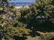 Giardino vicino alla spiaggia e al mare