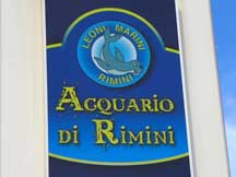 Gita all'acquario di Rimini, accessibile anche ai disabili