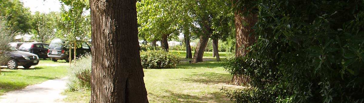 Parco accessibile ombreggiato accanto al parcheggio di Villa Marina